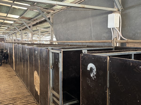 모숙근 대표는 분만실 운영을 통해 염소 폐사율을 크게 줄였다. 사진은 청원염소농장의 분만실.