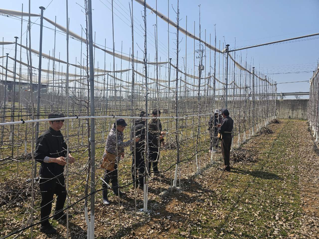 전정 실습교육모습