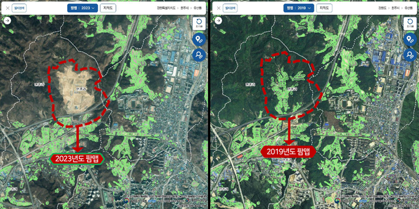 팜맵 비교 이력조회 서비스.
