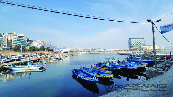 노후 FRP어선의 방치를 막기 위해서는 해수부 차원의 관련 대책의 마련이 필요하다는 지적이 제기되고 있다.