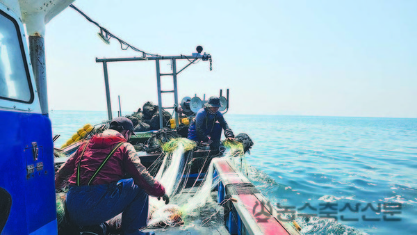 강제노동 등과 관련한 노동규범이 수산업 전반으로 확산되는데 대응, 사전점검과 대책마련의 필요성이 제기되고 있다. 사진은 연안어선에서 외국인 어선원이 조업을 하고 있는 모습.