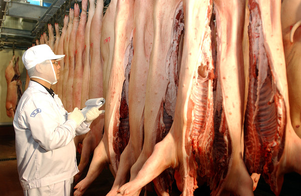 사진은 본 기사와 직접적인 관련은 없음.