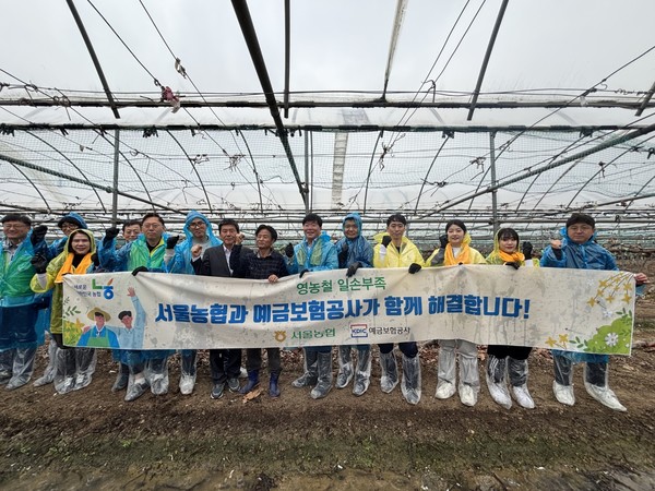 서울농협은 22일 예금보험공사와 함께 영농철 일손부족 해소를 위한 농촌일손돕기에 나섰다.(사진 왼쪽 2번째 맹석인 농협서울본부장, 왼쪽 6번째 문형욱 예금보험공사 이사)