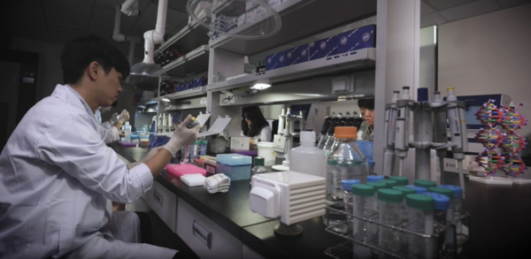 유전체를 분석하고 있는 모습.