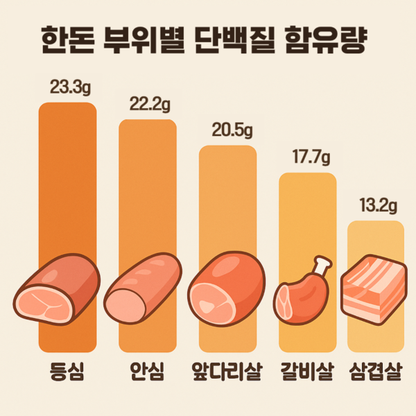 한돈 부위별 단백질 함유량.[제공 한돈자조금]
