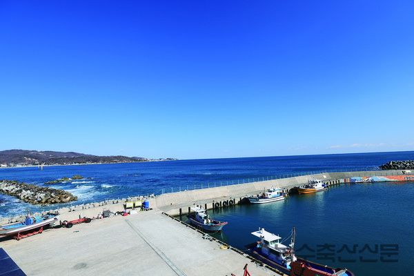 경주시 감포읍에 위치한 나정항에서는 정책사업을 통해 조성한 인프라를 직접 운영함으로써 새로운 어촌의 발전모델을 보여주고 있다. 사진은 나정항의 전경.
