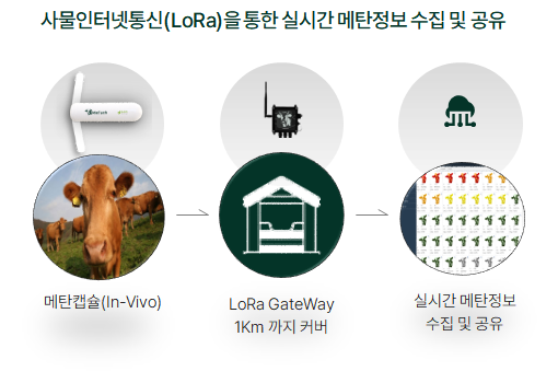 급이방식, 챔버, 레이저 메탄감지기 등 기존 메탄 측정방식들이 정확성 문제를 극복하지 못한 가운데 메텍의 메탄캡슐은 24시간 측정으로 실시간 정보 수집과 공유가 가능해 획기적인 시스템으로 업계의 주목을 받고 있다.