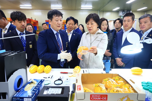 송미령 농식품부 장관(왼쪽에서 세번째)이 월항농협 APC 내 수출 선과장을 방문해 현장 관계자로부터 수출을 앞둔 성주 참외를 살펴보고 있다.