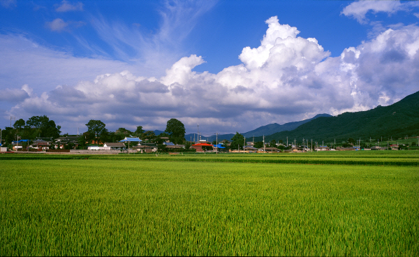 윤석열 정부 3년, 많은 정책적 변화 시도에도 불구하고 농업과 농업인의 삶은 크게 개선되지 않은 것으로 나타나 다음달 3일 제21대 대통령선거를 앞두고 새 정부에 거는 농업계의 기대가 커지고 있다.