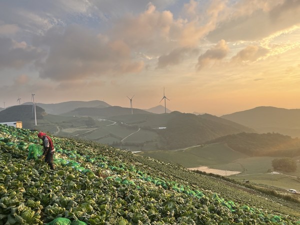 . 제21대 대통령선거가 코앞에 다가온 가운데 여러 어려움이 산재해 있는 농축산업계에서는 다양한 공약 요구사항이 나오고 있다. 농축산업계는 대체로 지속가능성과 경영 안정에 방점을 찍은 정책을 요구하고 있다.