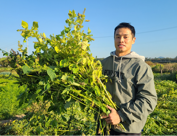 박정규 창창푸드 대표.
