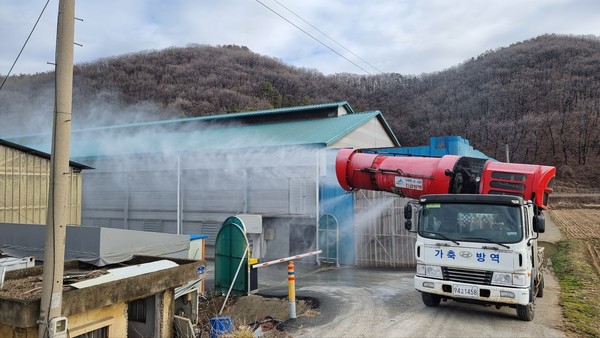 세종시 AI방역대책반이 가금농장을 집중 소독하고 있는 현장