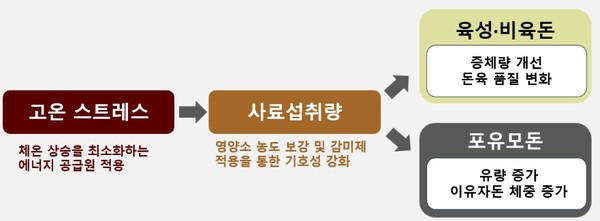 카길애그리퓨리나의 하절기 특수 배합비 강화 내용