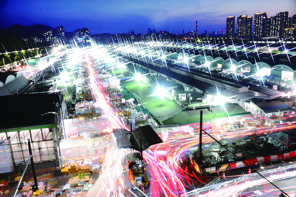 "밤낮없이 움직이는 가락동농수산물도매시장"      빠르게 변화하는 소비지와 농업 환경에 대응하기 위해서는 농축산물 유통도 변화해야 한다. 이를 반증하듯 최근 물류·조직·인력·산지 부문에 있어 혁신을 이루기 위한 다양한 시도가 이뤄지고 있다. 본지는 창간 44주년을 맞아 농축산물 유통 혁신을 통해 생산자는 소득을 높이고 소비자는 구매부담을 낮추며, 나아가 대한민국 농축산업의 지속가능성을 확보할 수 있도록 노력하리라 다짐한다. 사진은 스마트 물류 거점으로 변화를 시도하고 있는 가락동농수산물도매시장을 하늘에서 저속 촬영기법으로 촬영한 모습.  [사진=엄익복] 