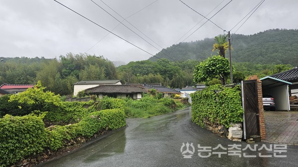 전남 강진군에 위치한 마을. 마을 곳곳에 관리되지 않은 빈집이 있어 마을 주민들에게 악영향을 미치고 있다. 특히 일부 빈집은 노후화가 심각해 악천후시 안전문제로 이어질 수 있는 주택도 있다.