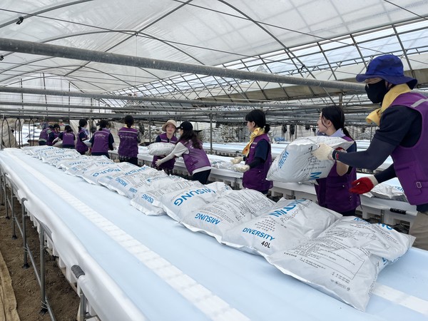 일손 돕기 모습.