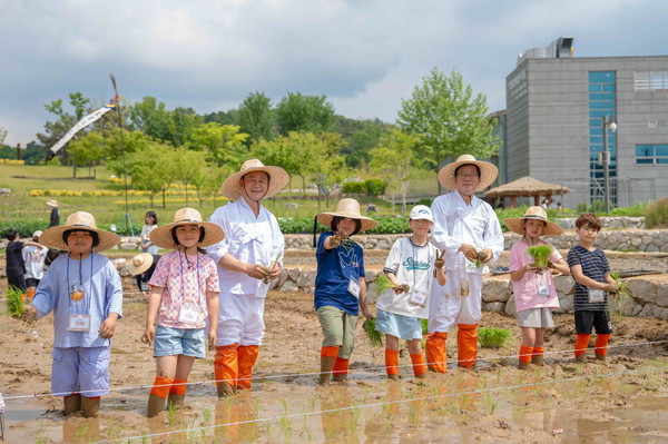 오경태 국립농업박물관장(오른쪽에서 세번째)이 어린이들과 모내기를 하고 있다.