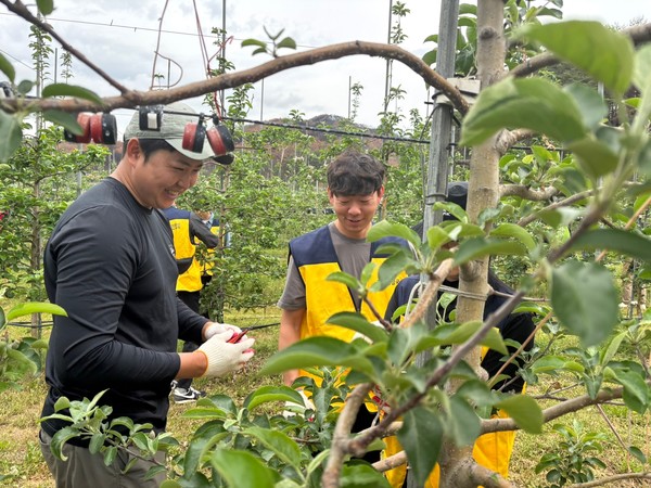 전국4-H 산불피해지역 영농지원 모습