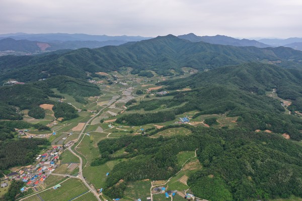 하늘에서 내려다 본 충북 음성군의 감곡 선도산림경영단지.