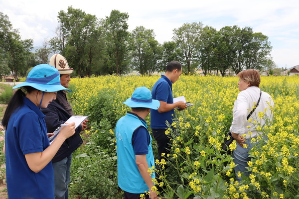 KOPIA는 지난해 다년생 목초와 두과 혼파 기술을 개발·보급, 초지 생산성과 지속성을 동시에 확보했다. 혼파 기술은 밀, 보리, 귀리 등 곡물류와 알팔파, 사인포인 등의 두과식물을 함께 파종하는 방식으로 초지 보호와 영양 가치 향상, 첫해 수확 가능성 확보라는 세 가지 효과를 얻었다.