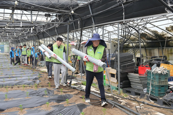 이동근 농협유통 대표이사(맨 앞)을 비롯한 농협유통 임직원들은 강원도 평창을 찾아 고추 지지대 세우기를 하며 일손을 보탰다.
