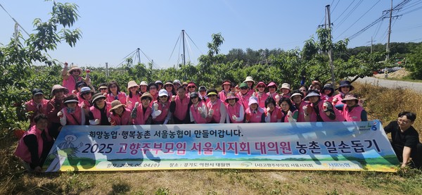 농협서울본부는 4일 서울고향주부모임과 함께 이천시 대월면 소재 복숭아 농가에서 일손돕기를 실시하고 인근 마을에서 농촌관광을 체험했다.