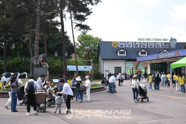 안성팜랜드는 볼거리, 먹거리 매장 확대 등을 통해 올해 입장객 70만 명을 목표로 하고 있다.
