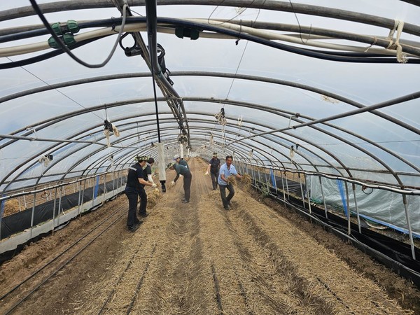 농협사료 경북지사에서 영농철을 맞아 경북지사 인근 농가에서 농촌일손돕기를 하는 모습