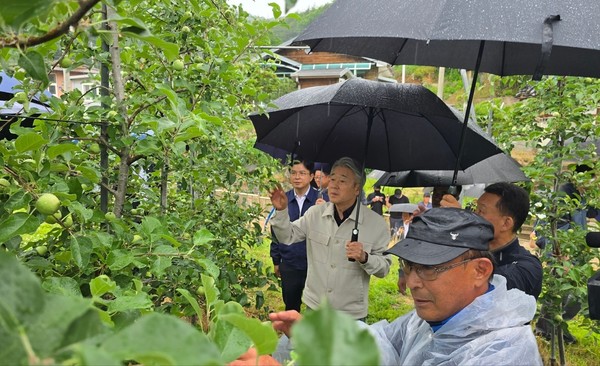 강호동 농협중앙회장이 우박피해농가 방문해 현장점검을 하고 있다.