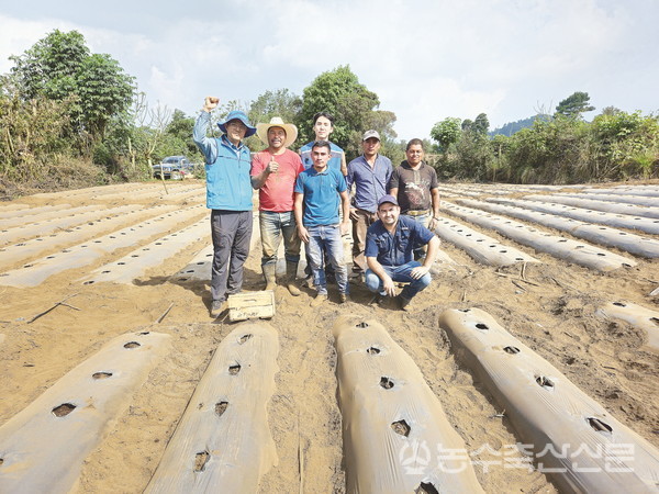 코피아 과테말라센터는 병해충과 바이러스 저항성 씨감자 신품종 연구개발을 추진, 농가에 활력을 주고 있다. 사진은 협력농장에 씨감자를 파종한 기념사진.