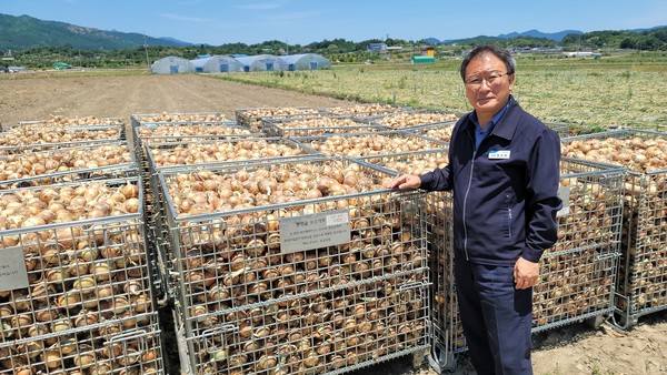수확한 양파가 담긴 와이어 매쉬망을 보여주며 작업의 효율성을 설명하고 있는 강 조합장.