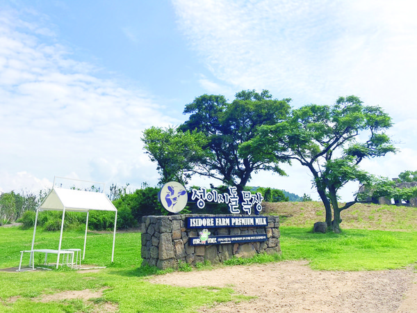 방목생태축산은 지속가능한 축산업으로서 주목받고 있지만 향후 발전을 위해선 제도 개선, 예산 지원 등의 대책 마련이 필요하단 지적이다. 사진은 성이시돌목장의 전경.