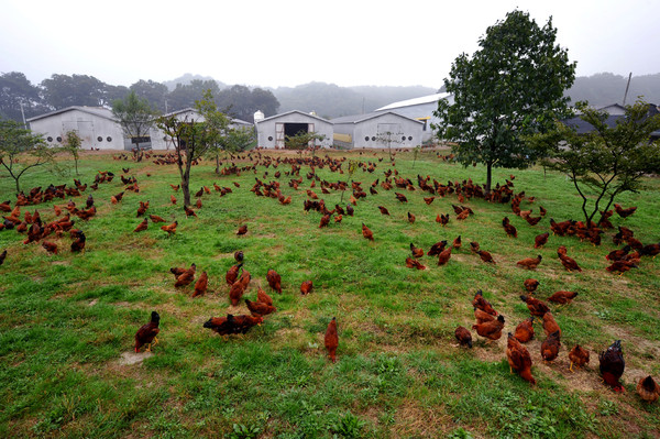 사진은 기사와 관련없음.