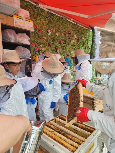 양봉 내부 관찰 모습.