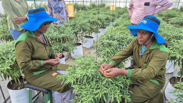 농촌진흥청 해외농업기술개발 스리랑카센터는 2011년 개소 이후 스리랑카 농업청과 긴밀히 협력하며 현지 맞춤형 기술지원과 농가 중심의 실증사업으로 스리랑카의 식량안보에 기여하고 있다.