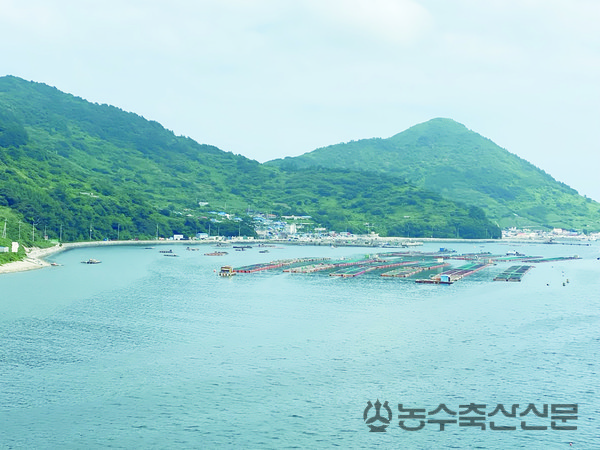 전남 여수시에 위치한 거문도의 전경. 거문도는 막대한 예산 투입에도 수천 명에 달하던 인구가 이제 수백 명 수준까지 줄었고 이제 텅 빈 골목과 늘어나는 빈집만 남았다.