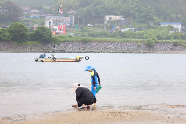 지난달 20일 하동 섬진강 일원에서 열린 하동섬진강문화 재첩축제2025에서 재첩잡이에 나선 모자.