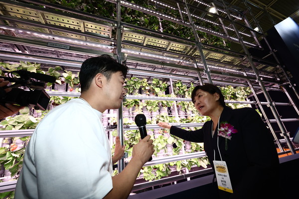‘수직농장’에 대한 설명을 듣고 있는 송미령 농식품부 장관.
