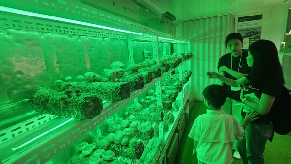 아이와 함께 온 참관객이 폐컨테이너를 활용한 스마트팜 ‘ CUBE FARM’에서 자라는 저온성 표고버섯 은화고를 살펴보고 있다. 