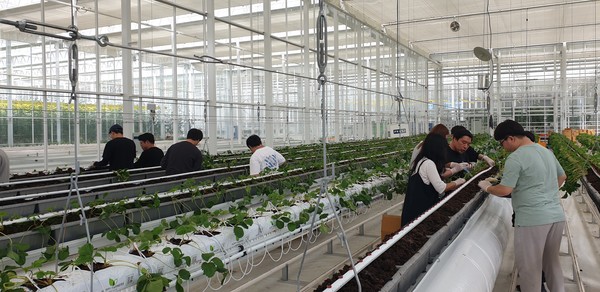 스마트팜 창년농업 보육센터 실습현장