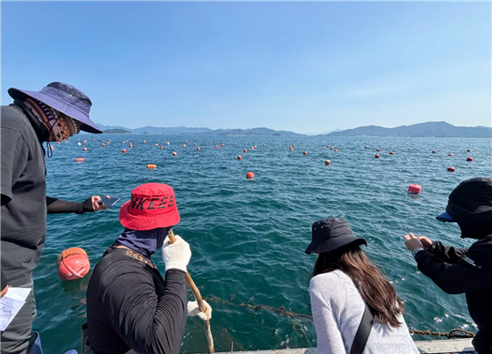 농업정책보험금융원과 수협중앙회가 멍게 양식장의 수산물 폐사 여부를 확인하고 있다.