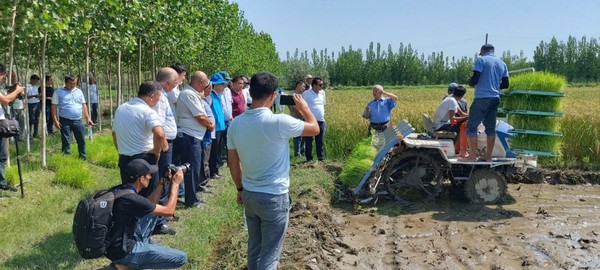 우즈베키스탄 현지에서 기계이앙을 시연하는 모습.