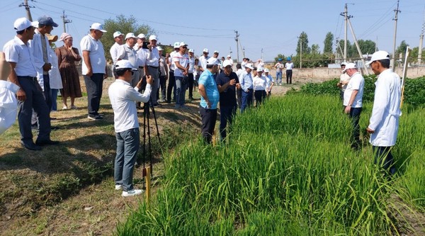 품종별 시범재배가 진행되고 있는 시연회장