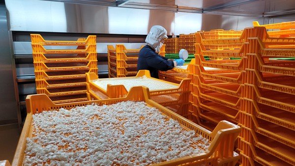 작업자가 건조장에서 건조작업을 하고 있는 모습.