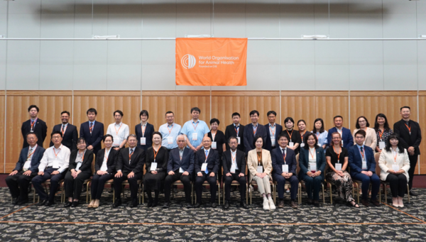 [세계동물보건기구 제공]