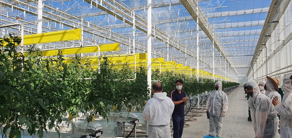 미래 산업의 구심점이 될 인공지능의 주도권을 잡기 위해 전 세계 정부와 기업들이 각축을 벌이는 가운데 농업 분야도 AI 경쟁이 벌어지고 있다. 사진은 충남 태안에 있는 ㈜컬티랩스의 스마트유리온실 내부.