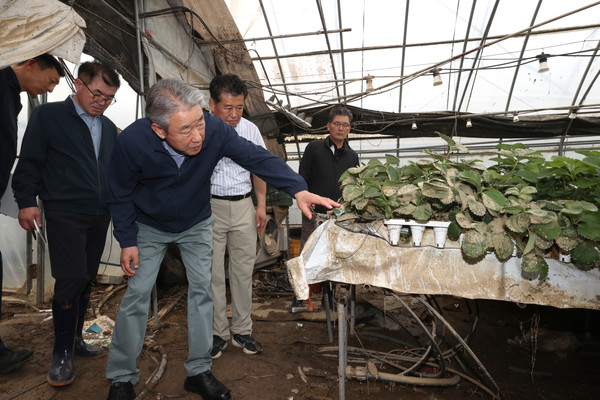 지난 20일 집중호우로 큰 피해를 입은 충남 예산과 아산, 경남 산청과 합천 등을 방문해 피해상황을 살피고 있는 강호동 농협중앙회장