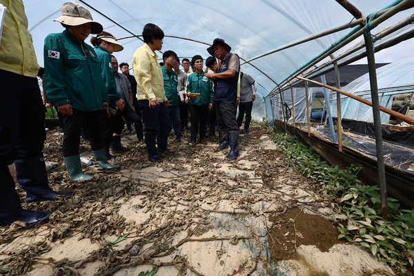 송미령 농식품부 장관(가운데)이 충남 부여군 규암면에 소재한 오이농가를 찾아 호우피해상황을 점검하고 있다.