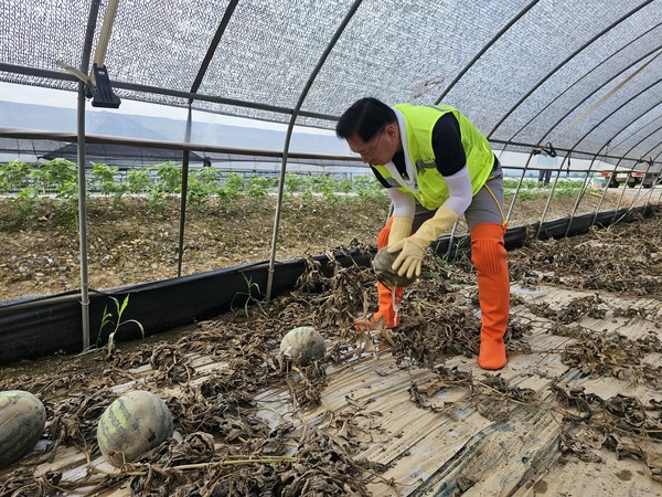 농협서울본부는 23일 집중호우 피해를 입은 충남 부여를 찾아 수해복구 일손돕기를 실시했다.