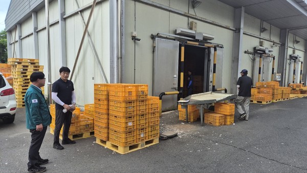 지난 22일 서산시농협조합공동사업법인 6쪽마늘 수매현장